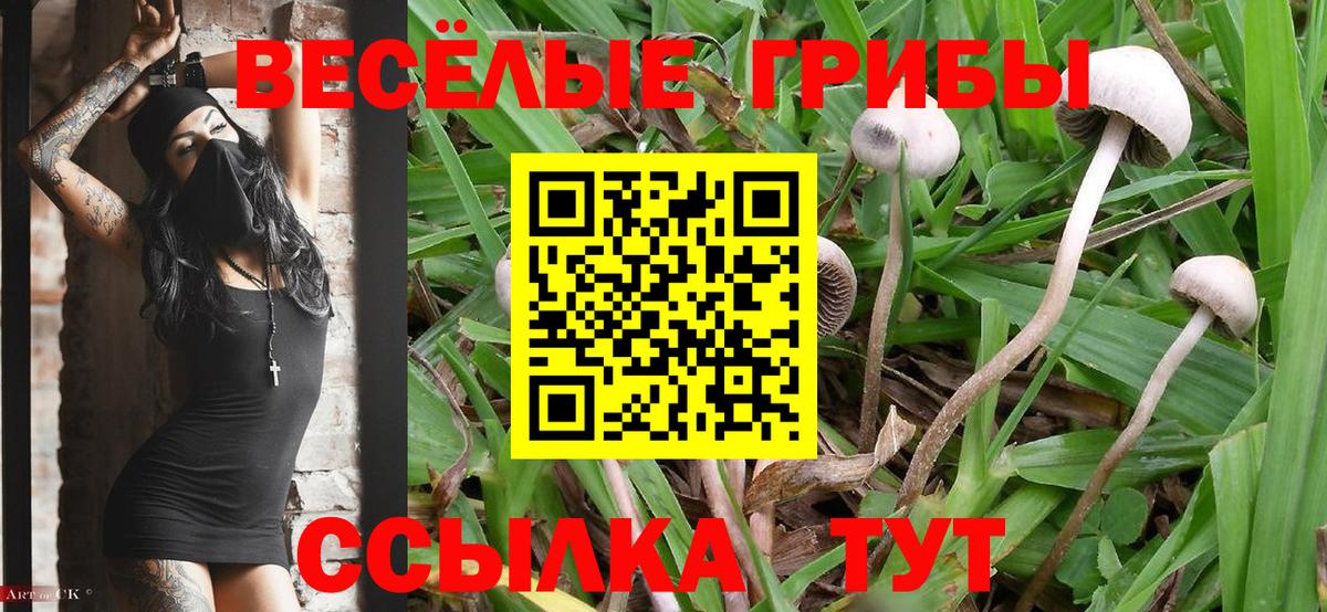 Галлюциногенные грибы Magic Shrooms  Вход с VPN  Рязань 