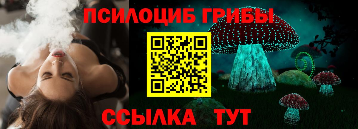 Галлюциногенные грибы Psilocybine cubensis Рязань